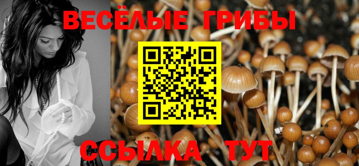 Мытищи  Галлюциногенные грибы мухоморы  Вход с VPN 